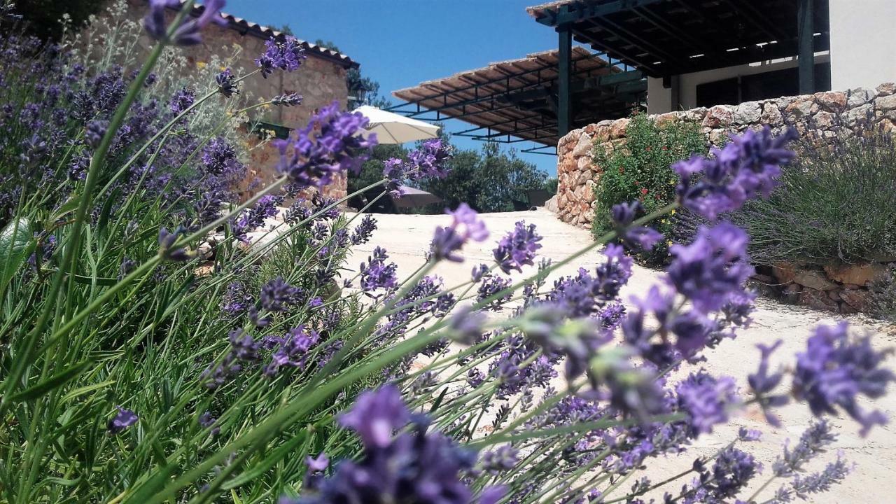 Lavender Hill Hvar Villa - Pool, Jacuzzi,Sauna,Bbq Stari Grad  Dış mekan fotoğraf