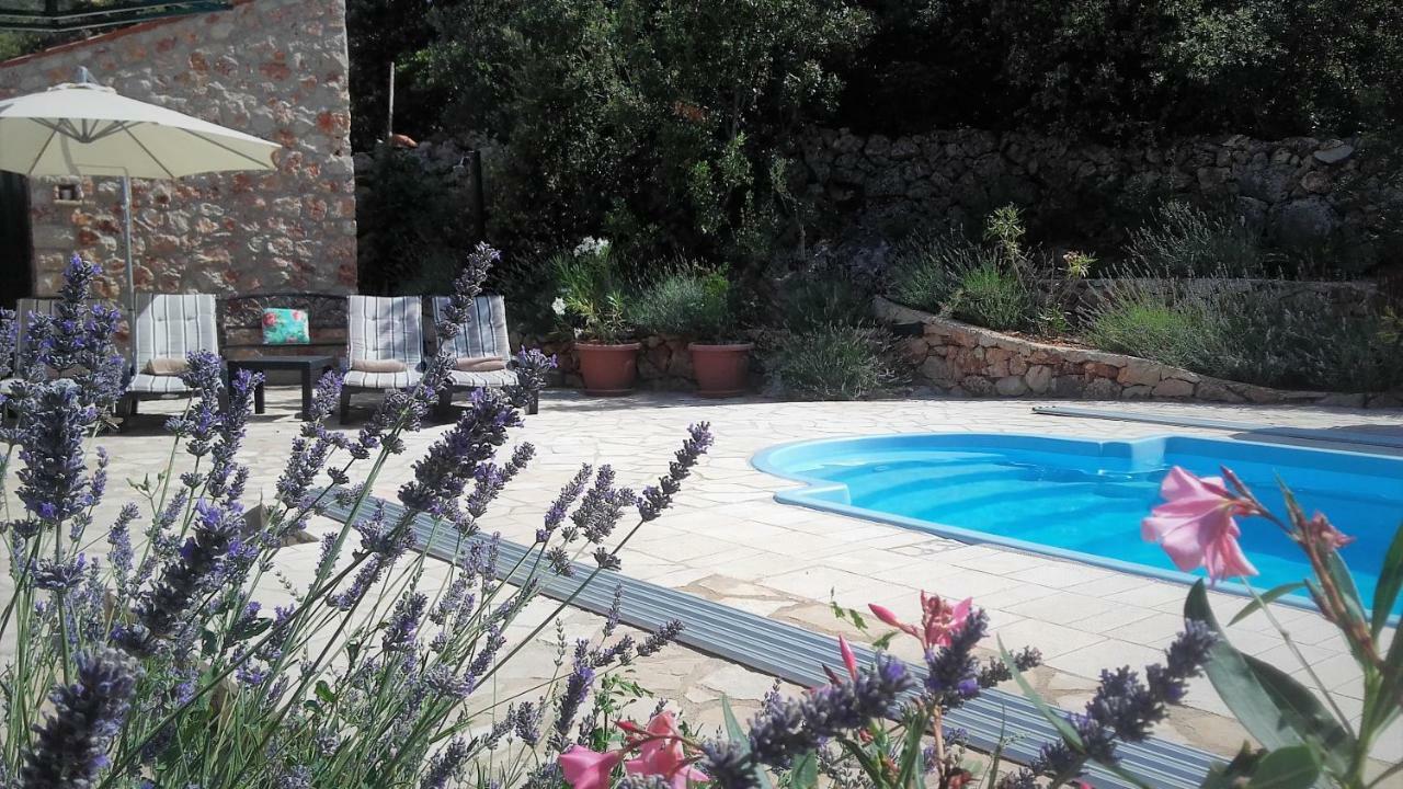 Lavender Hill Hvar Villa - Pool, Jacuzzi,Sauna,Bbq Stari Grad  Dış mekan fotoğraf